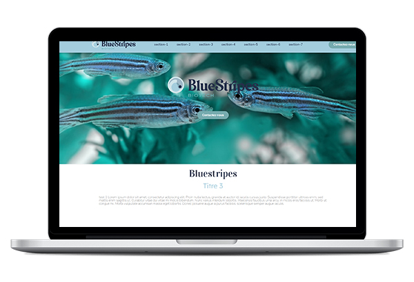 Bluestripes-biotech.com